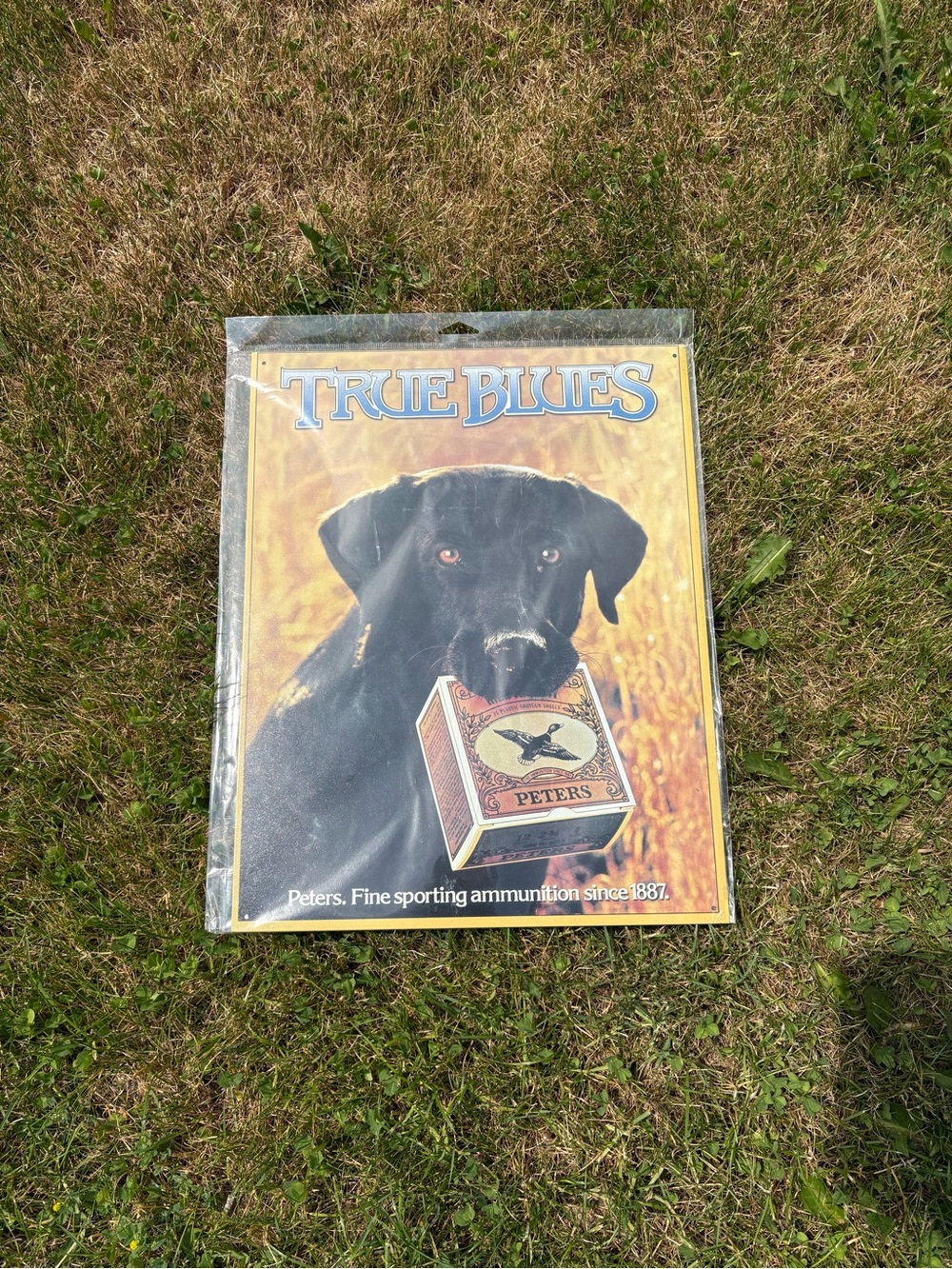 Peters True Blues Labrador Dog Hunting Ammunition Metal Tin Sign Remington vtg